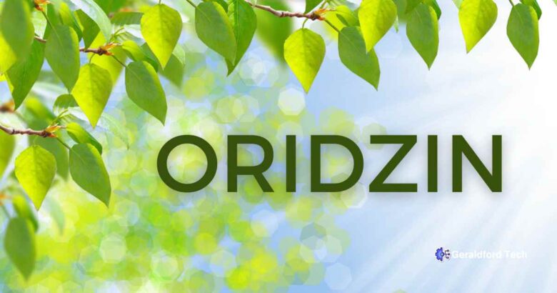 Unlocking the Wonders of Oridzin A Comprehensive Guide